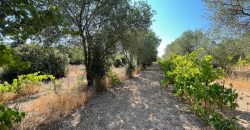 Wonderful Stazzu For Sale In Gallura ref.Cacabrocciu