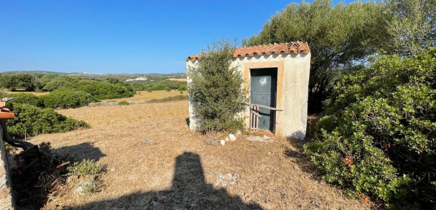 Wonderful Stazzu For Sale In Gallura ref.Cacabrocciu