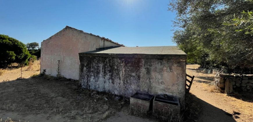 Wonderful Stazzu For Sale In Gallura ref.Cacabrocciu