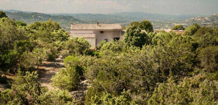 Superb Villa for Sale San Pantaleo Sardinia ref Fen Shui