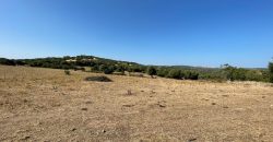 Wonderful Stazzu For Sale In Gallura ref.Cacabrocciu