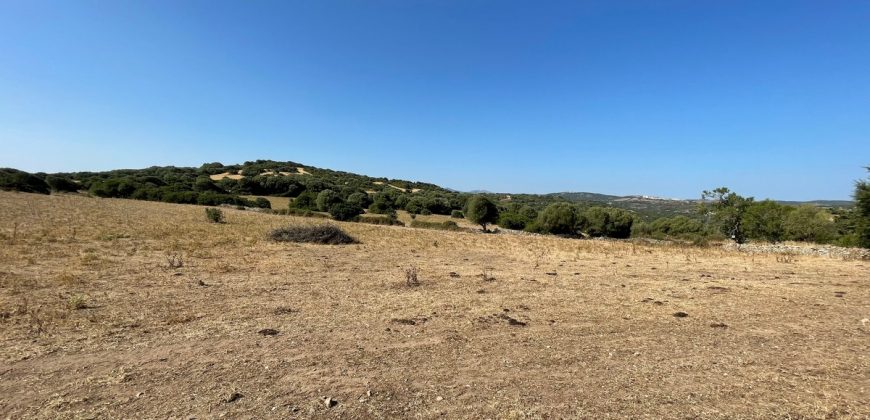 Wonderful Stazzu For Sale In Gallura ref.Cacabrocciu