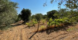 Wonderful Stazzu For Sale In Gallura ref.Cacabrocciu