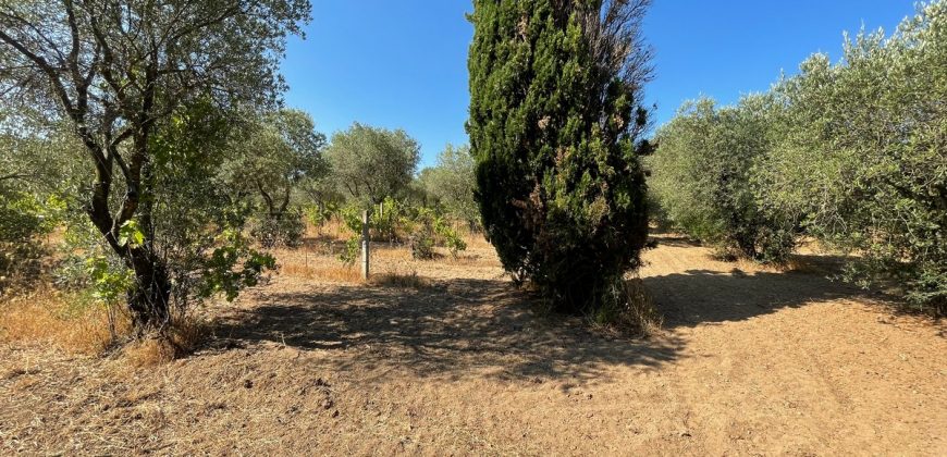 Wonderful Stazzu For Sale In Gallura ref.Cacabrocciu