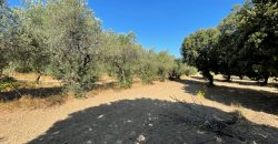 Wonderful Stazzu For Sale In Gallura ref.Cacabrocciu