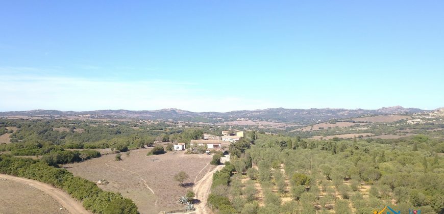 Wonderful Stazzu For Sale In Gallura ref.Cacabrocciu