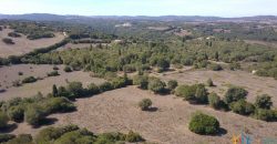 Wonderful Stazzu For Sale In Gallura ref.Cacabrocciu