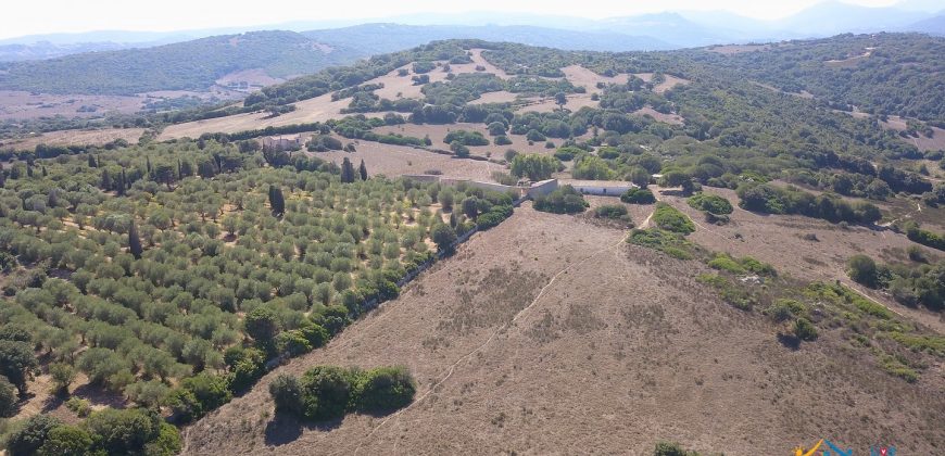 Wonderful Stazzu For Sale In Gallura ref.Cacabrocciu