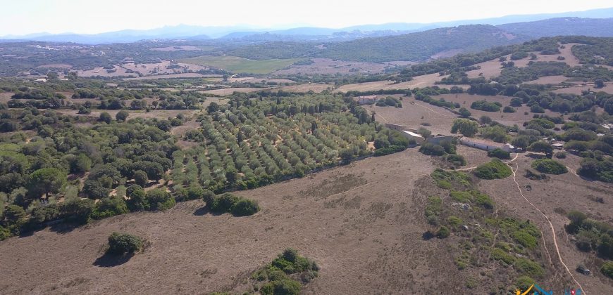 Wonderful Stazzu For Sale In Gallura ref.Cacabrocciu