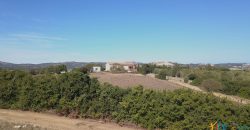Wonderful Stazzu For Sale In Gallura ref.Cacabrocciu