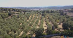 Wonderful Stazzu For Sale In Gallura ref.Cacabrocciu