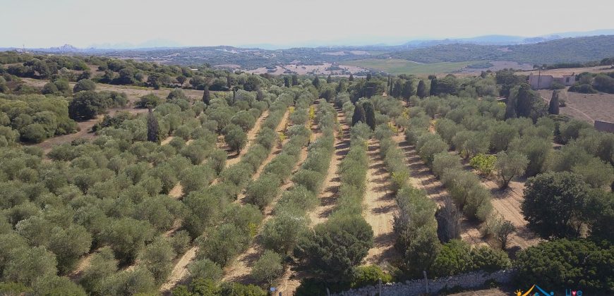 Wonderful Stazzu For Sale In Gallura ref.Cacabrocciu