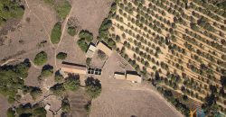 Wonderful Stazzu For Sale In Gallura ref.Cacabrocciu