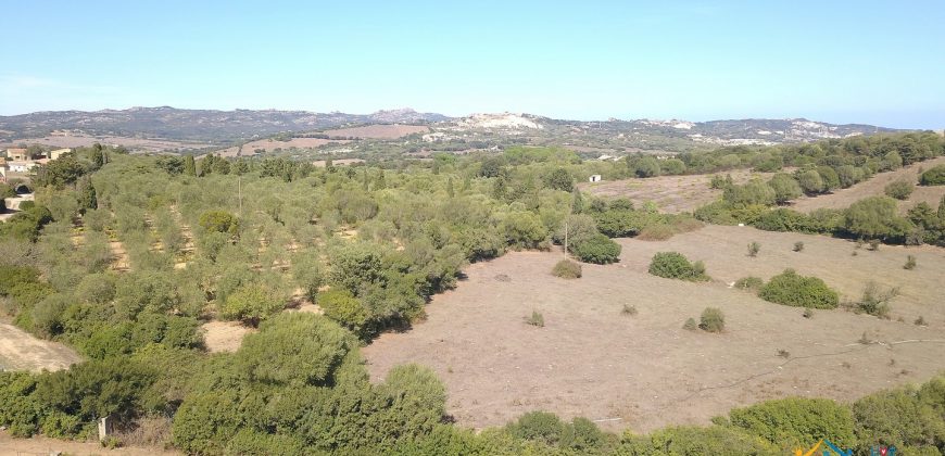 Wonderful Stazzu For Sale In Gallura ref.Cacabrocciu