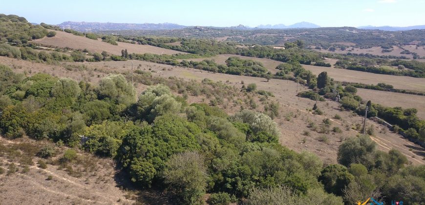 Wonderful Stazzu For Sale In Gallura ref.Cacabrocciu