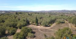 Wonderful Stazzu For Sale In Gallura ref.Cacabrocciu