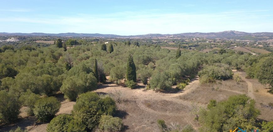 Wonderful Stazzu For Sale In Gallura ref.Cacabrocciu