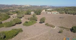 Wonderful Stazzu For Sale In Gallura ref.Cacabrocciu