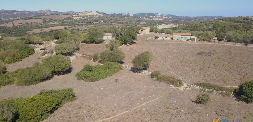 Wonderful Stazzu For Sale In Gallura ref.Cacabrocciu