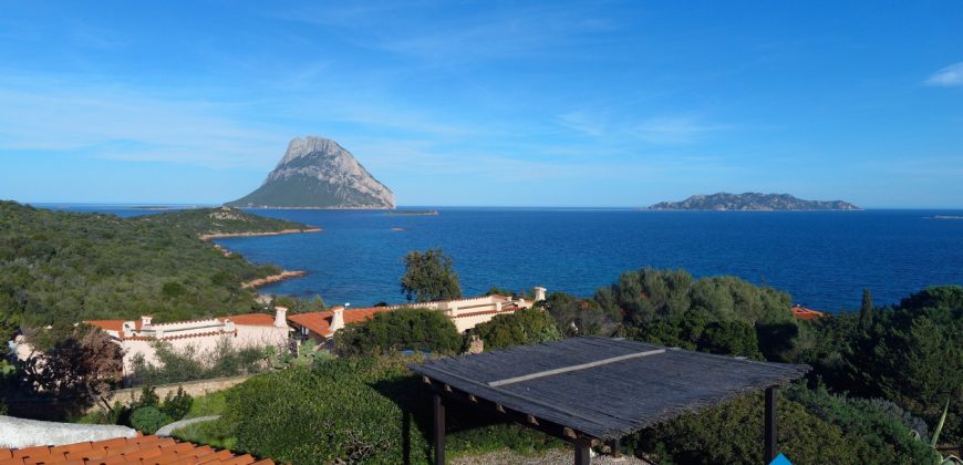 Sea View villa For Sale Porto San Paolo Sardinia ref. Villa Mare