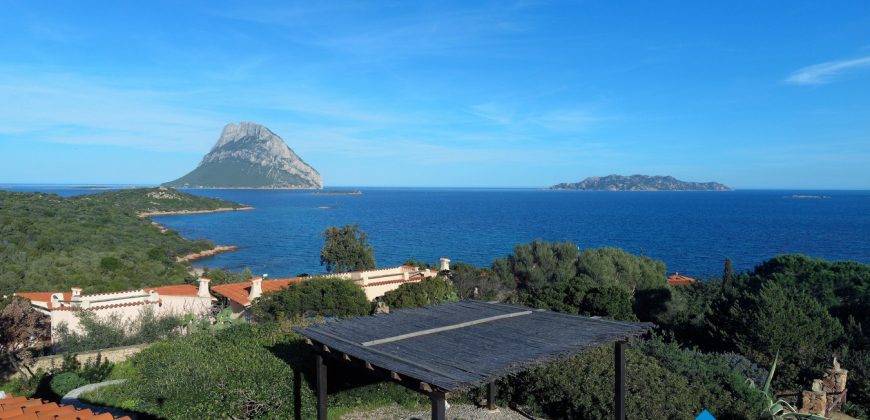 Sea View villa For Sale Porto San Paolo Sardinia ref. Villa Mare