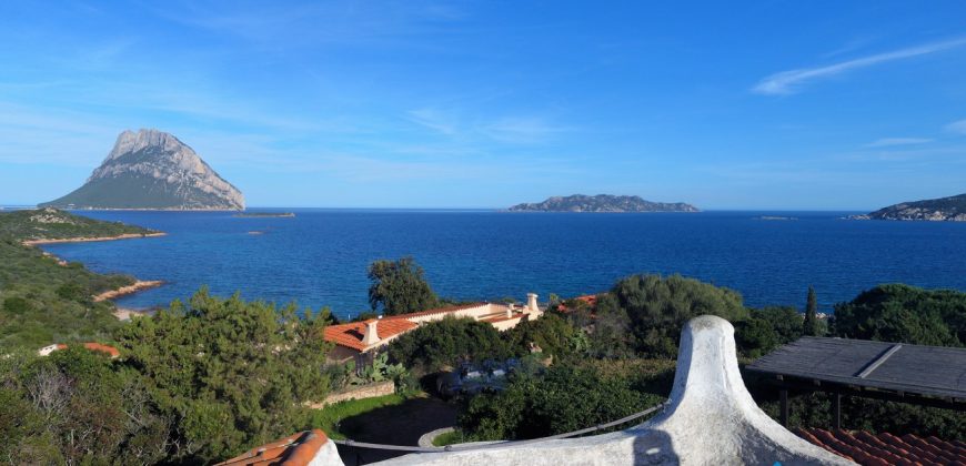 Sea View villa For Sale Porto San Paolo Sardinia ref. Villa Mare