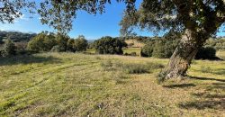 Farmhouse For Sale Olbia Ref. Murichintu