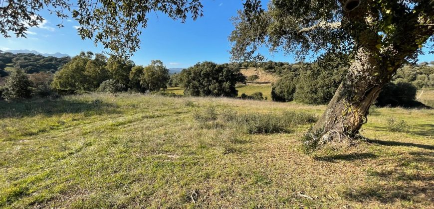 Farmhouse For Sale Olbia Ref. Murichintu