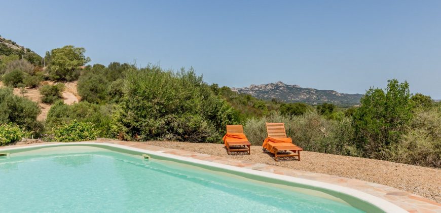 Villa For Sale San Pantaleo With Pool, Ref Litarrirui