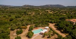 Villa For Sale San Pantaleo With Pool, Ref Litarrirui