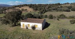 Farmhouse For Sale Olbia Ref. Murichintu