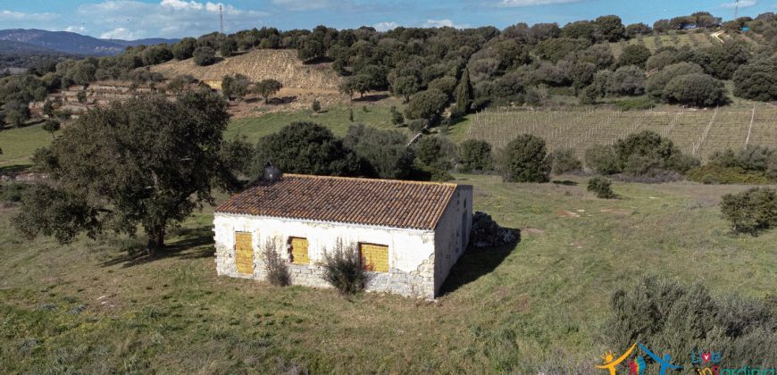 Farmhouse For Sale Olbia Ref. Murichintu