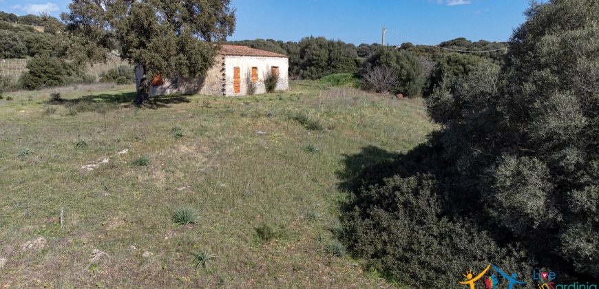 Farmhouse For Sale Olbia Ref. Murichintu