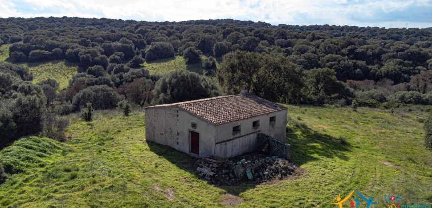 Farmhouse For Sale Olbia Ref. Murichintu