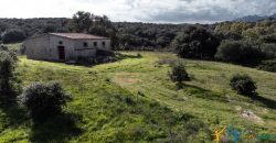 Farmhouse For Sale Olbia Ref. Murichintu