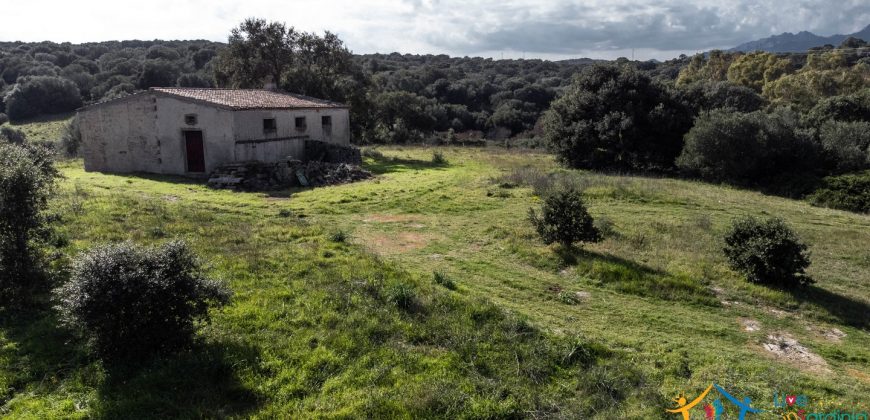 Farmhouse For Sale Olbia Ref. Murichintu