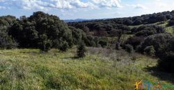 Farmhouse For Sale Olbia Ref. Murichintu