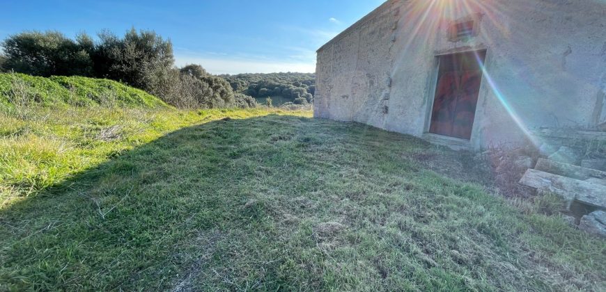 Farmhouse For Sale Olbia Ref. Murichintu