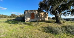 Farmhouse For Sale Olbia Ref. Murichintu