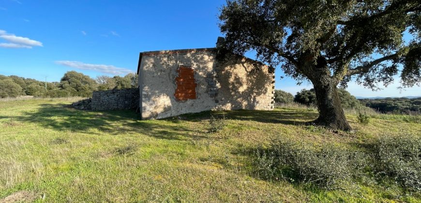 Farmhouse For Sale Olbia Ref. Murichintu