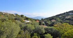 Property For Sale Olbia Sardinia With Sea View – Ref. Myosotis