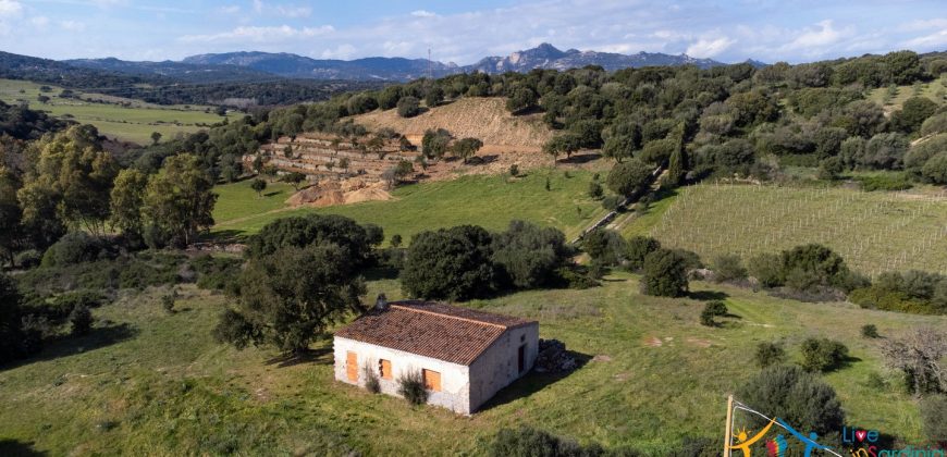 Farmhouse For Sale Olbia Ref. Murichintu