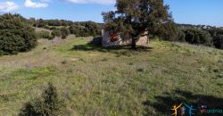 Farmhouse For Sale Olbia Ref. Murichintu