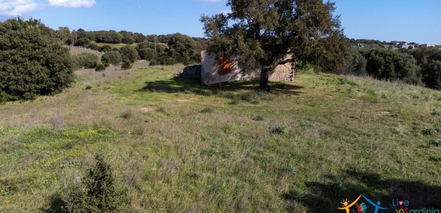 Farmhouse For Sale Olbia Ref. Murichintu