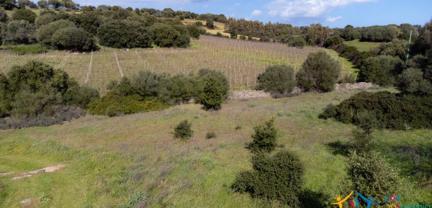 Farmhouse For Sale Olbia Ref. Murichintu