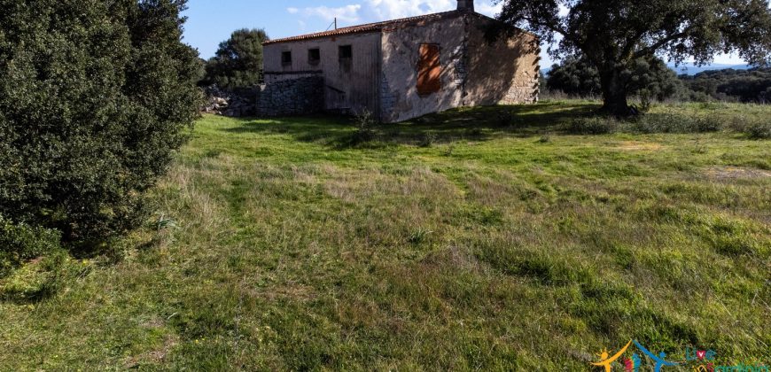 Farmhouse For Sale Olbia Ref. Murichintu