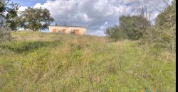 Farmhouse For Sale Olbia Ref. Murichintu