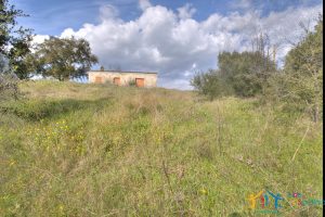 Farmhouse For Sale Olbia Ref. Murichintu