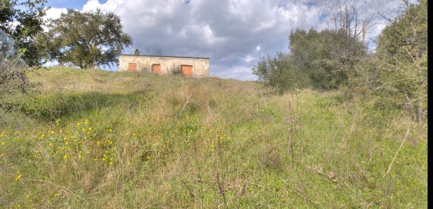 Farmhouse For Sale Olbia Ref. Murichintu