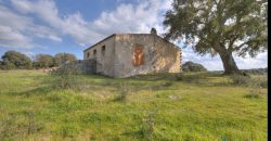 Farmhouse For Sale Olbia Ref. Murichintu